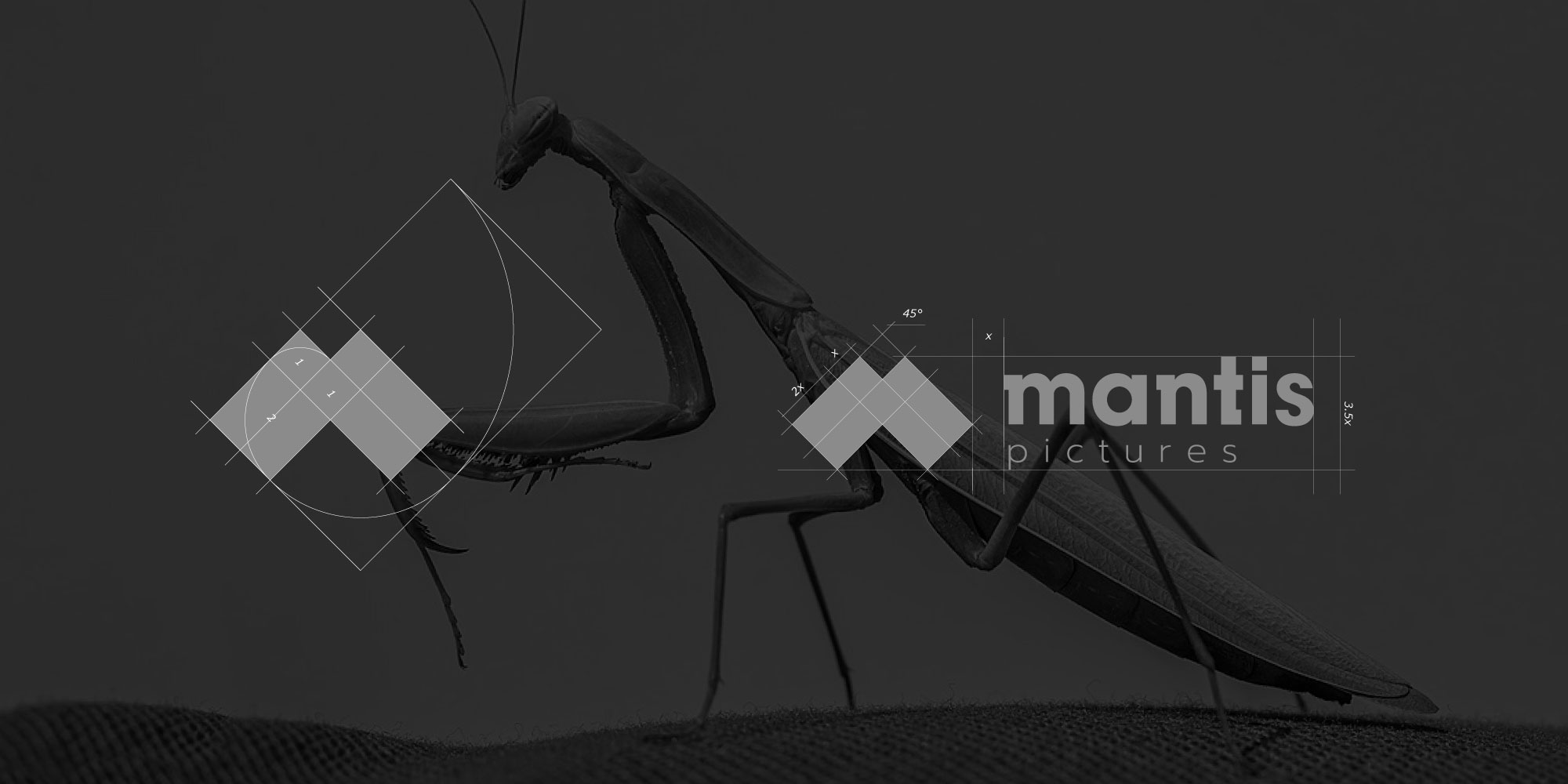  MANTIS PICTURES ԸՆԿԵՐՈՒԹՅԱՆ ԲՐԵՆԴԱՎՈՐՈՒՄ 