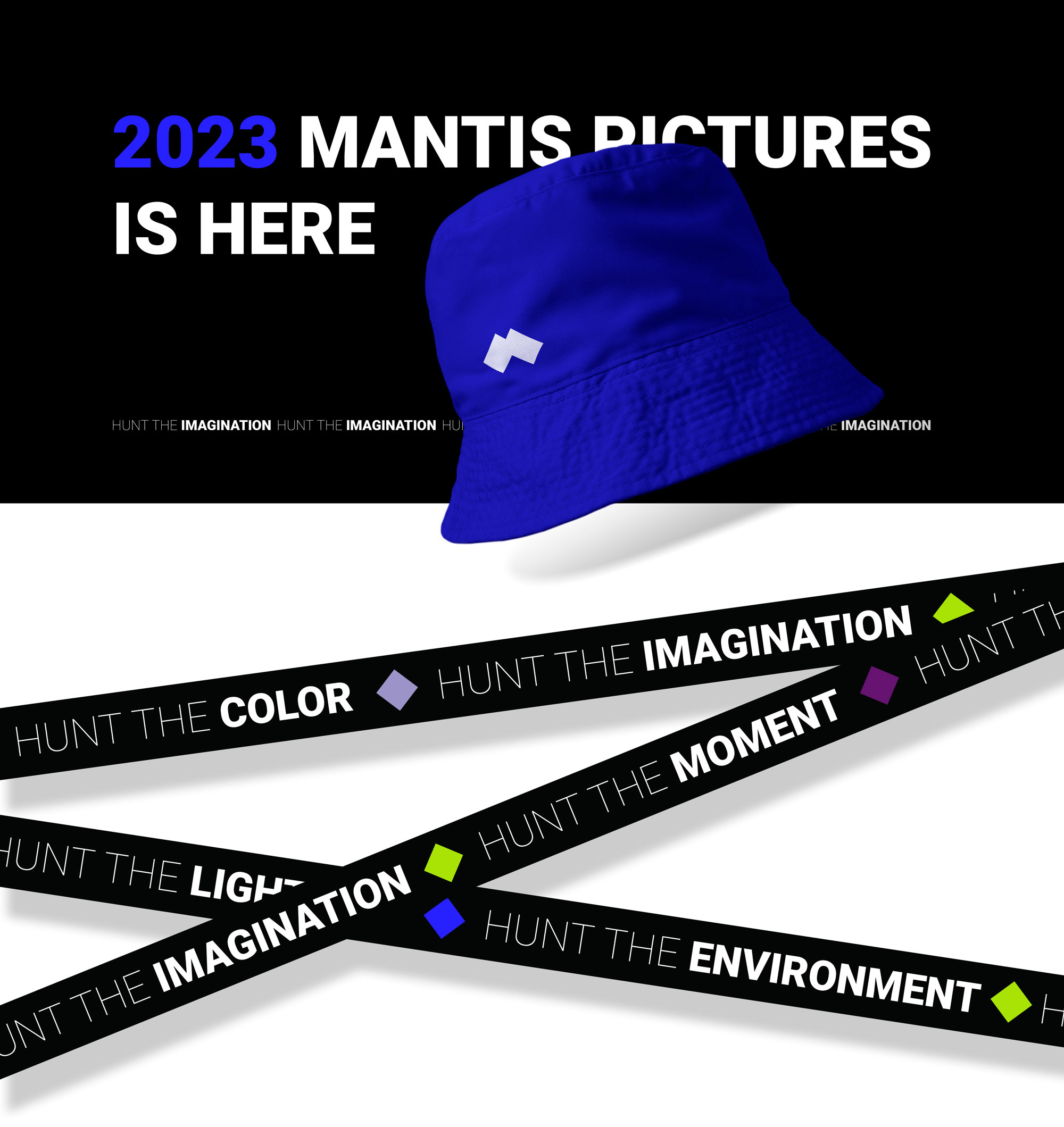  MANTIS PICTURES ԸՆԿԵՐՈՒԹՅԱՆ ԲՐԵՆԴԱՎՈՐՈՒՄ 